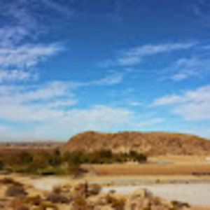 Meet your Posher, Dorothy